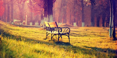 效率提升必选的云呼官方